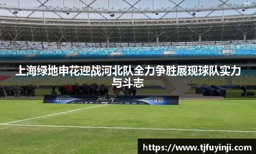 上海绿地申花迎战河北队全力争胜展现球队实力与斗志